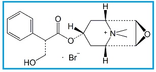 Hyoscine Butylbromide EP Impurity C